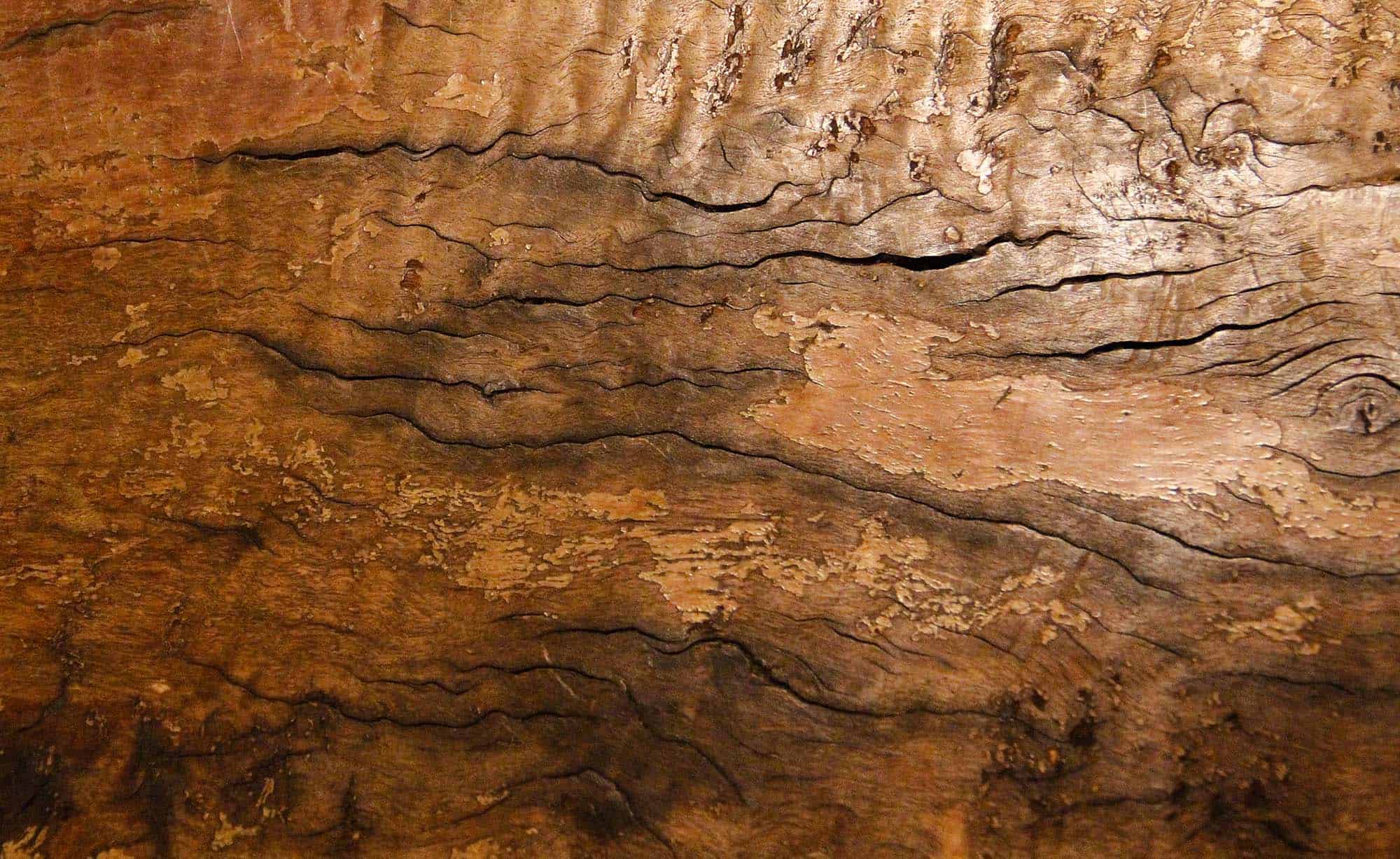 Natural Textures