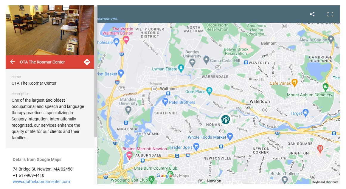 ota google map example