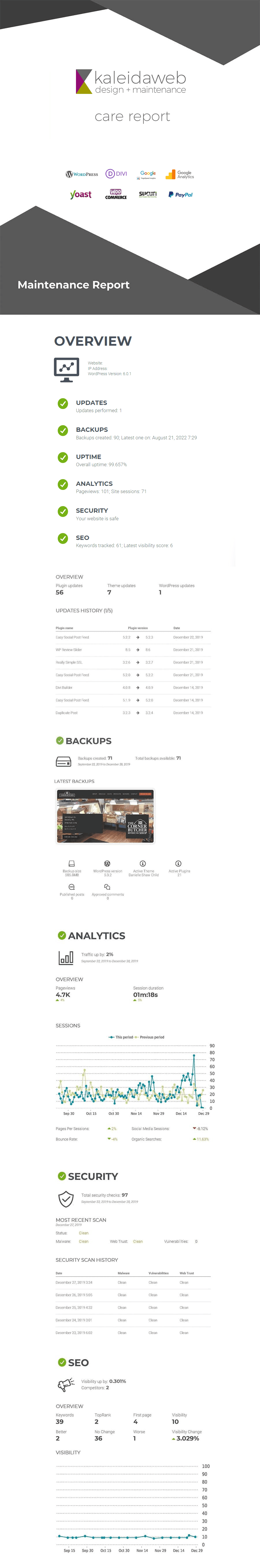 Sample WordPress Maintenance Report