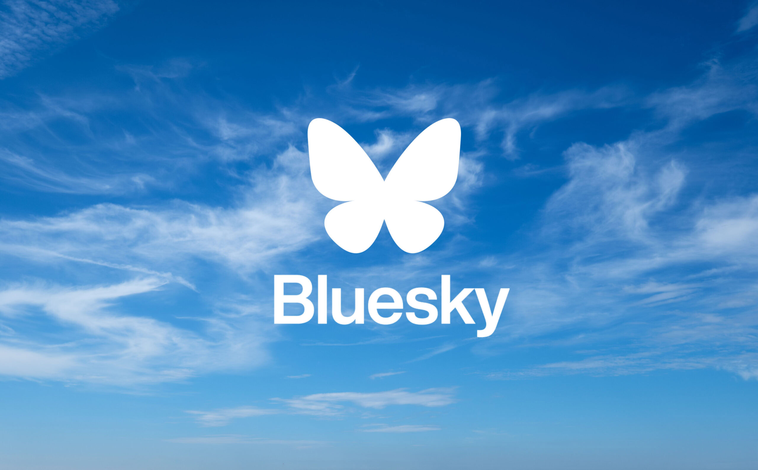 Professional Bluesky Services