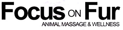 focus on fur focus on fur