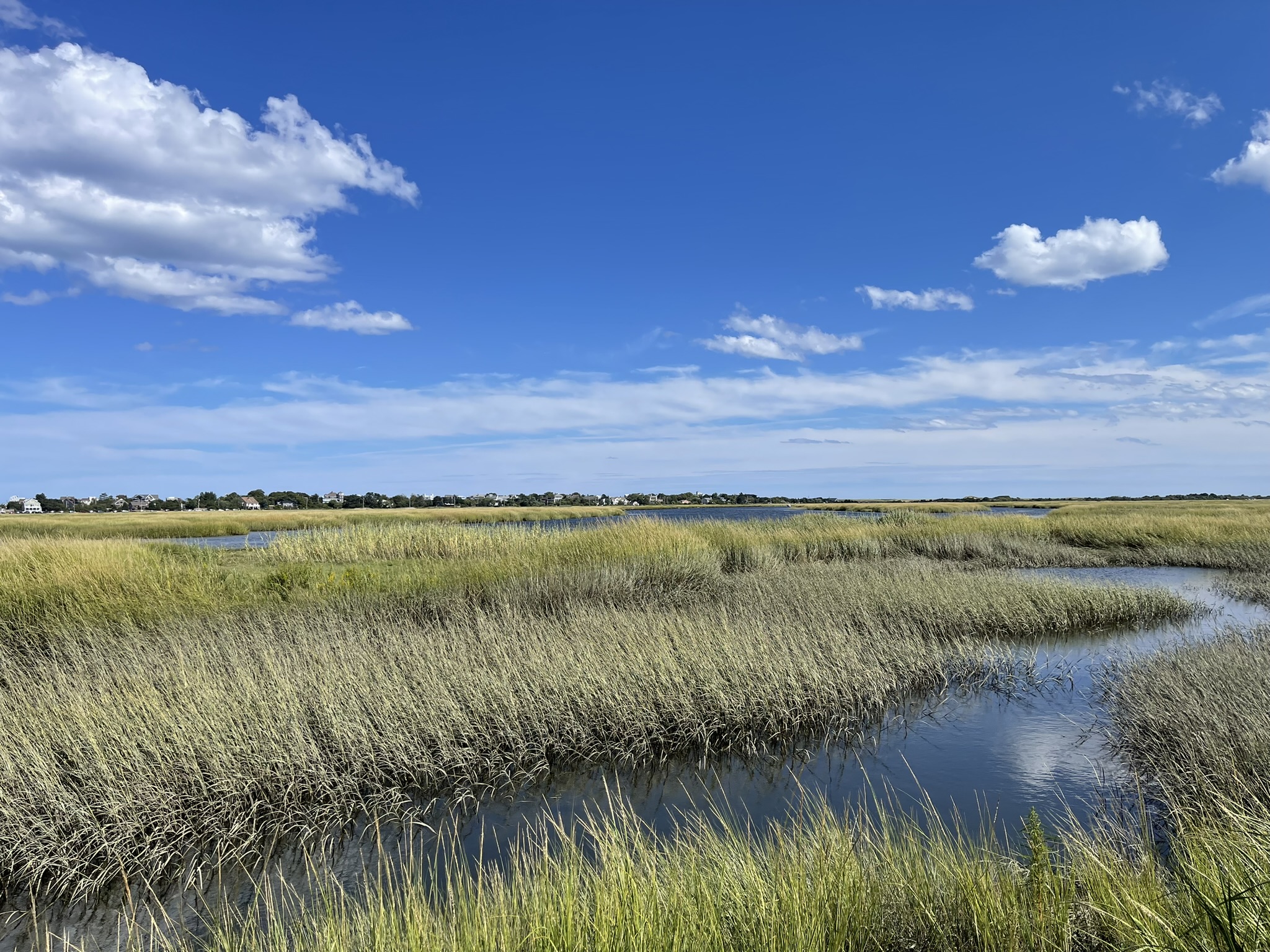 Plum Island, MA
