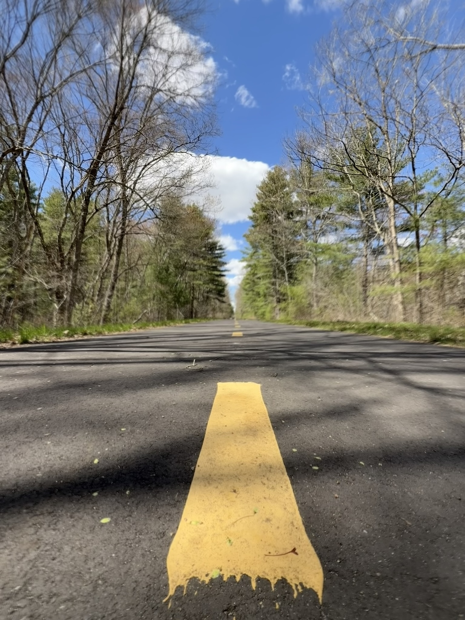 Rail Trail in Norton, MA