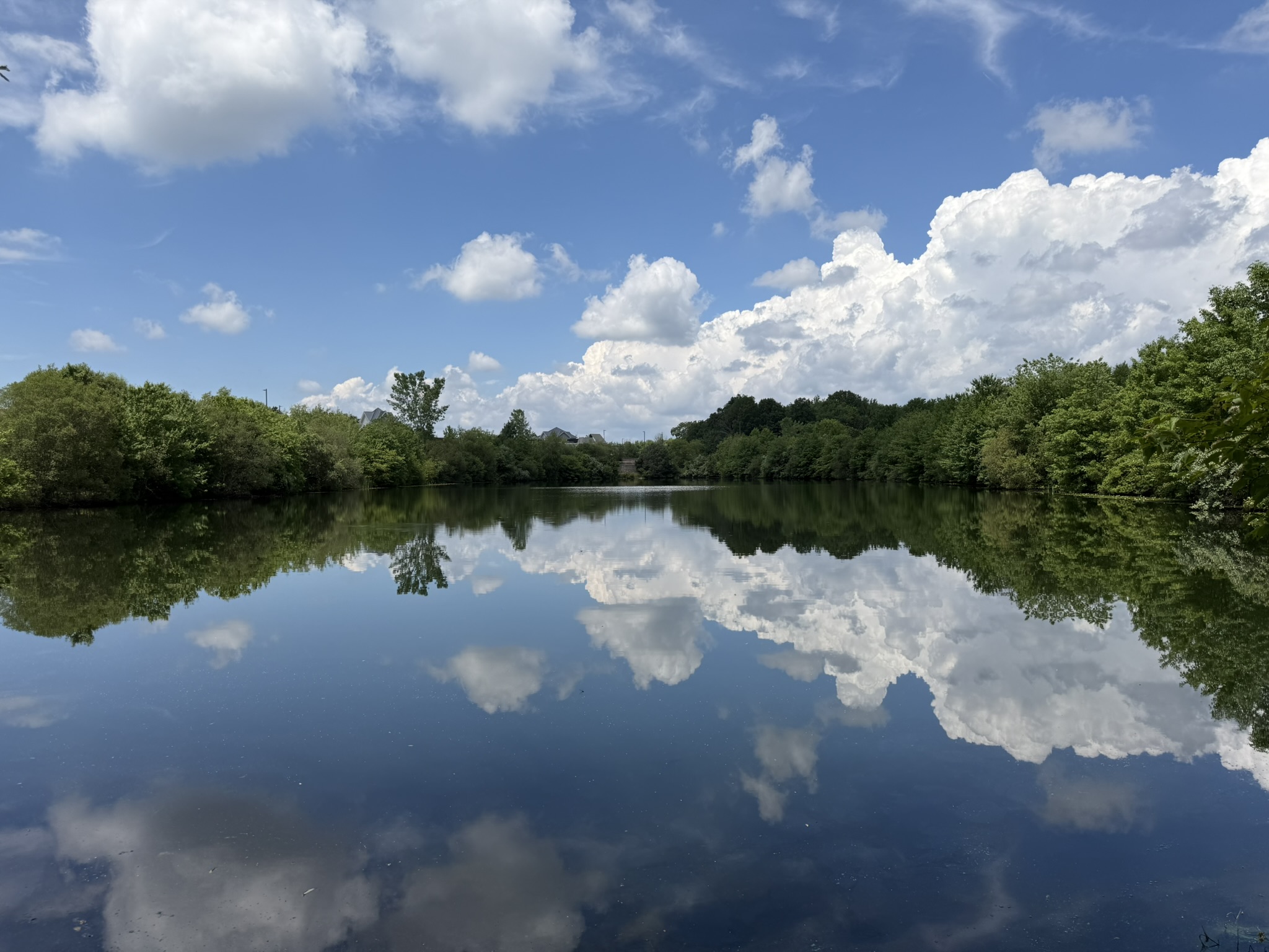 Mansfield Crossing Woodside Pond in Mansfield, MA